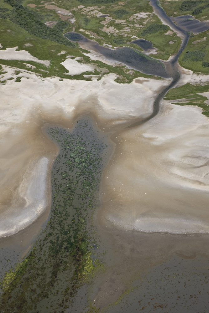 KT082-3396_1000